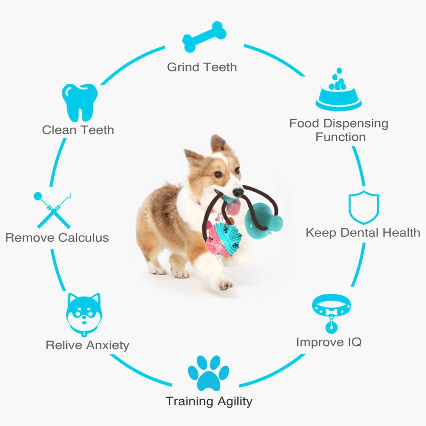 Suction Cup Dog Treat Dispenser, Rope Tug & Toothbrush in One