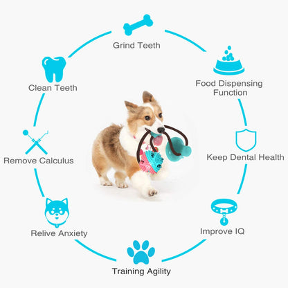 Suction Cup Dog Treat Dispenser, Rope Tug & Toothbrush in One