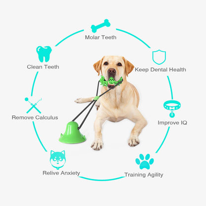 Suction Cup Dog Treat Dispenser, Rope Tug & Toothbrush in One
