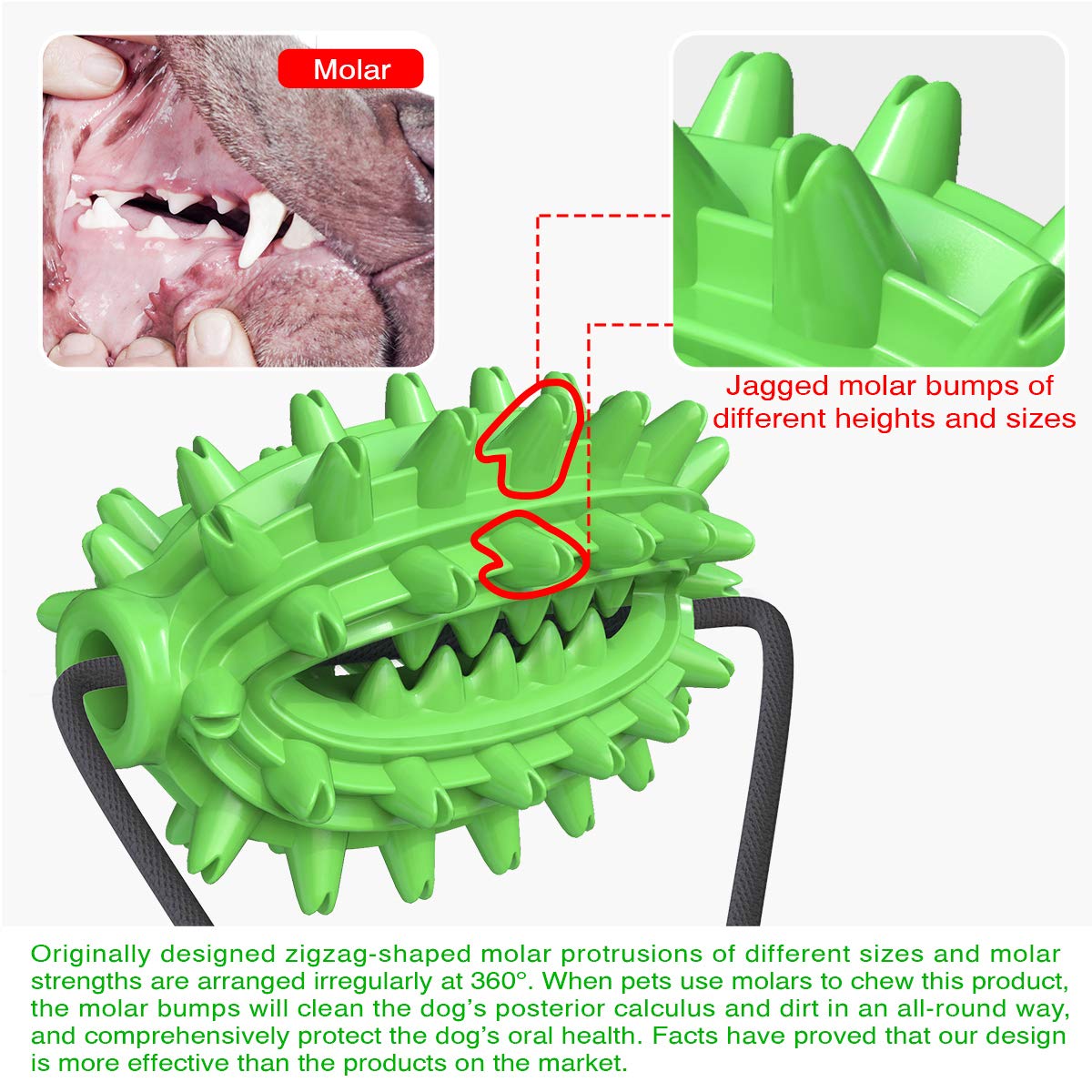 Suction Cup Dog Treat Dispenser, Rope Tug & Toothbrush in One