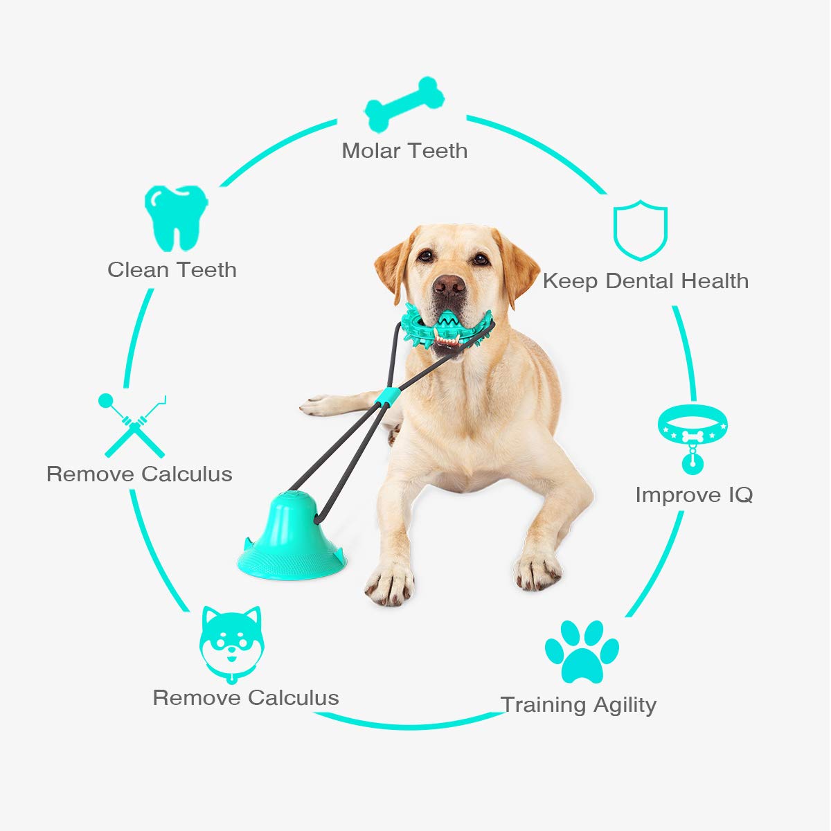 Suction Cup Dog Treat Dispenser, Rope Tug & Toothbrush in One