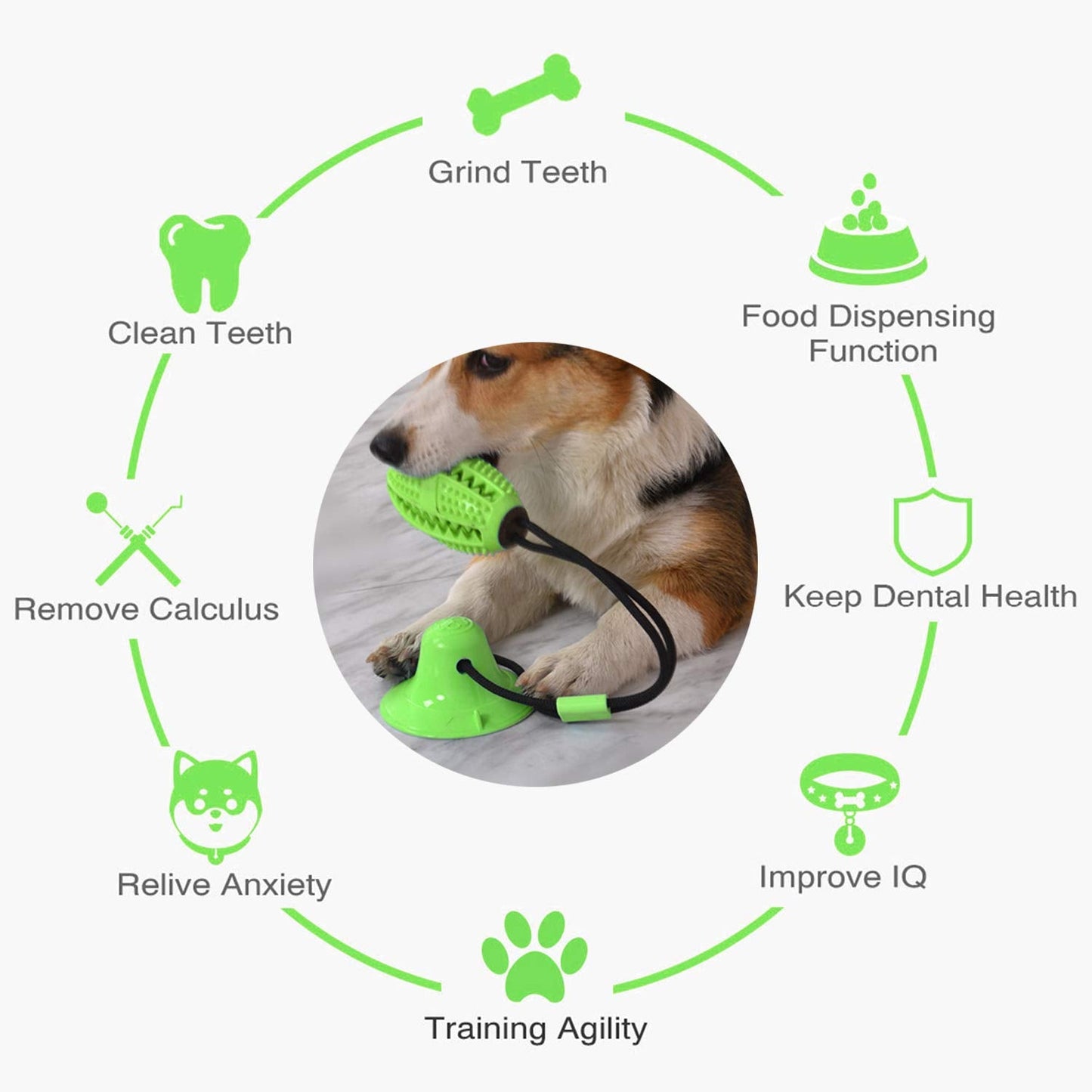 Suction Cup Dog Treat Dispenser, Rope Tug & Toothbrush in One