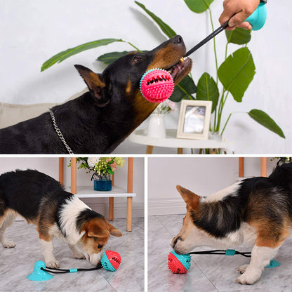 Suction Cup Dog Treat Dispenser, Rope Tug & Toothbrush in One