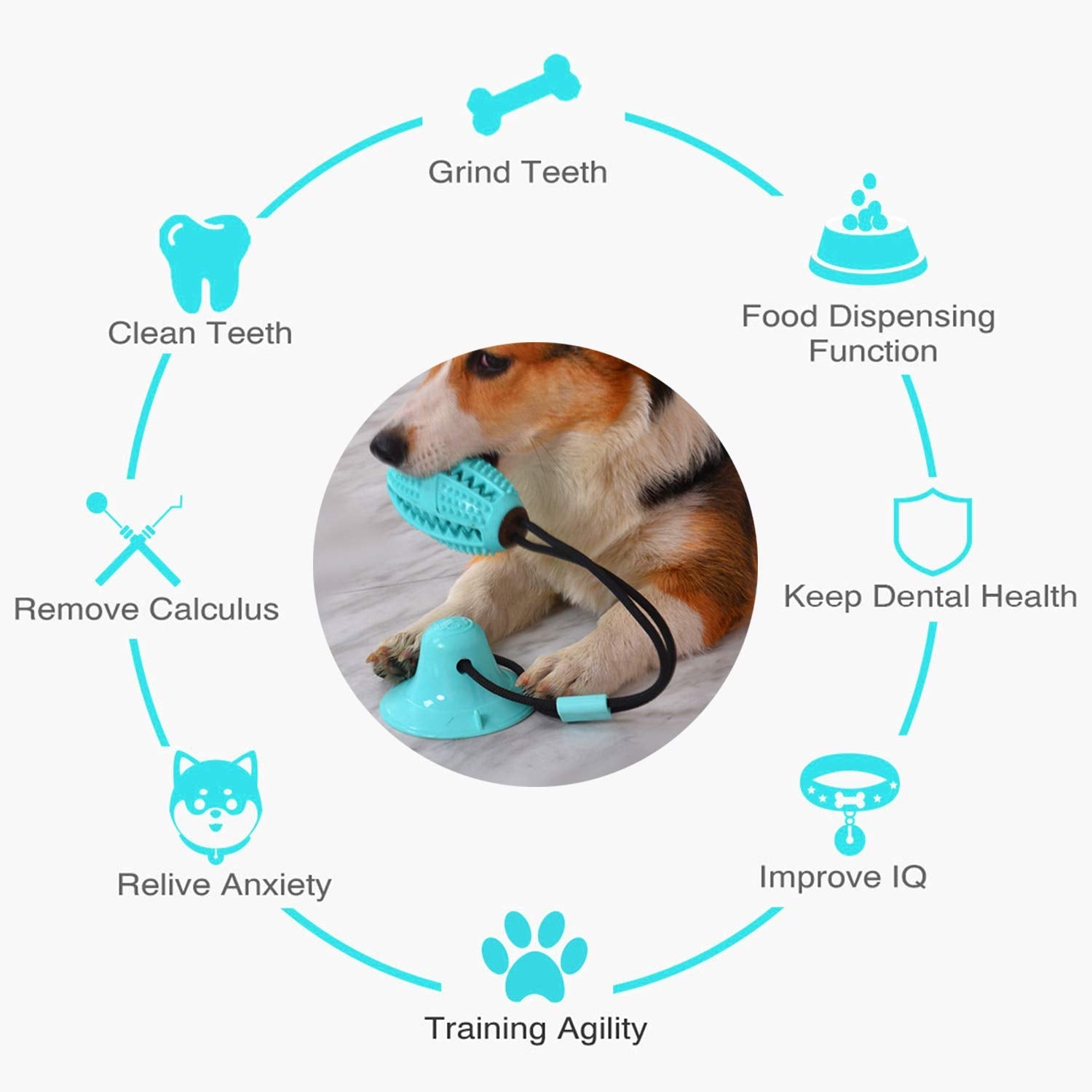 Suction Cup Dog Treat Dispenser, Rope Tug & Toothbrush in One