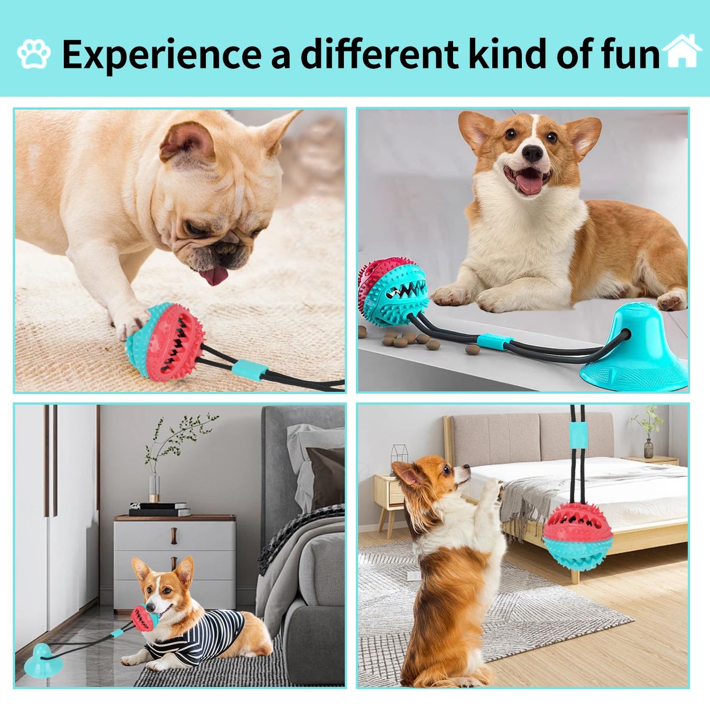 Interactive Dog Toys for Aggressive Chewers,Puppy Teething Toys for Boredom,Mentally Stimulating Tug of War Training Toy, Puzzle Treat Food Dispensing Teeth Cleaning sound Ball for Small Dogs