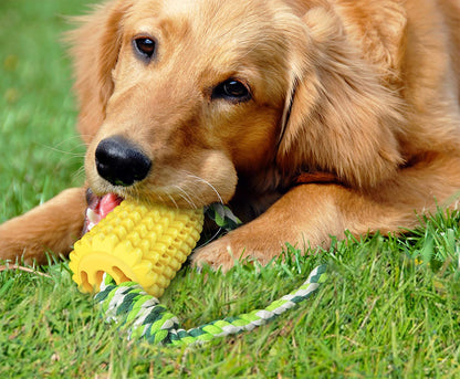 Carllg Dog Chew Toys for Aggressive Chewers, Indestructible Tough Durable Squeaky Interactive Dog Toys, Puppy Teeth Chew Corn Stick Toy for Small Medium Large Breed