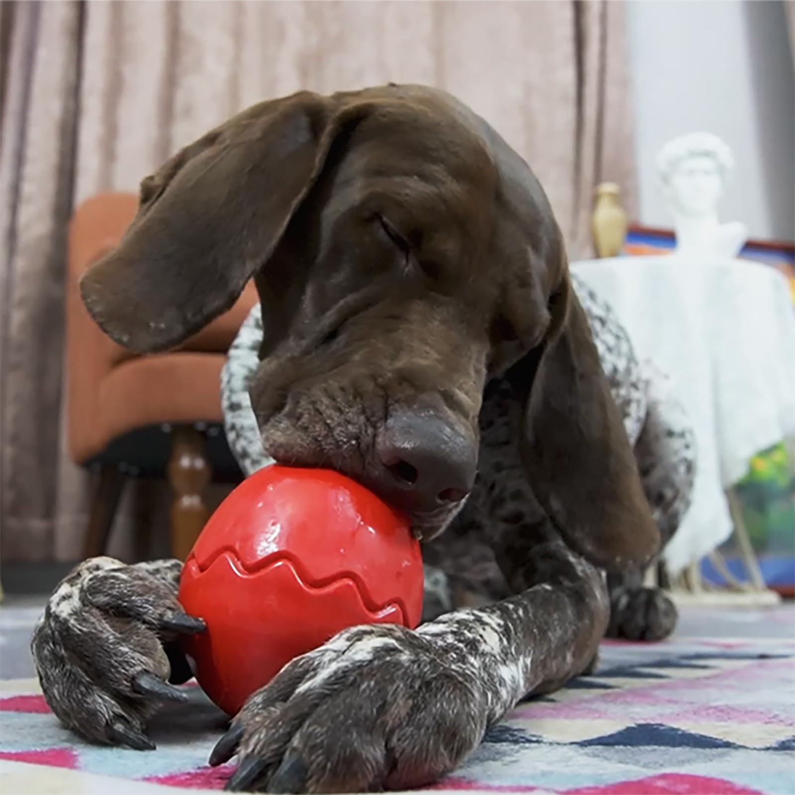 Dog Chew Toy Aggressive Chewer Slow Feeder Supply Toys (Freely Mix Dry &amp; Wet Food) for Medium &amp; Large Dogs - Mystery Egg